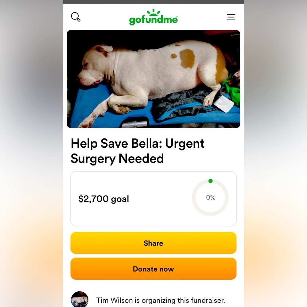 Please Share & Help If Possible gofundme